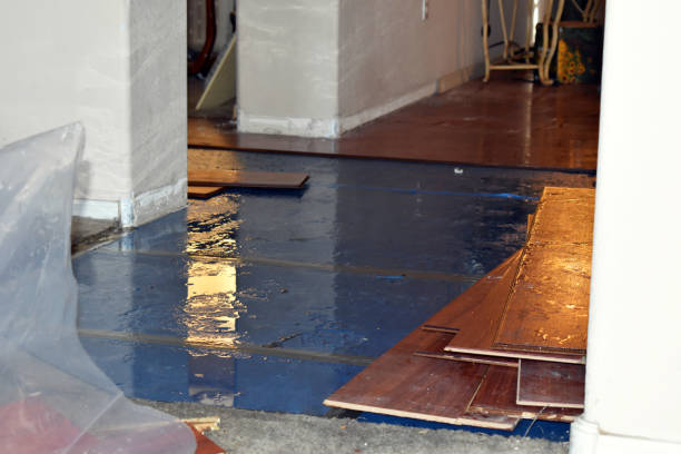 Professional Flood Cleanup technician working in Central, SC